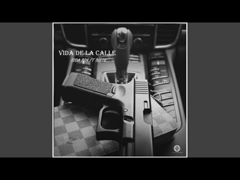 Vida De La Calle (feat. Blesk & Soda Boy)