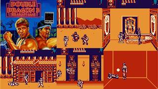 GameBoy Game: Double Dragon III- The Arcade Game (1992 Acclaim Entertainment) [SGB Version]