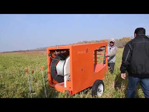 Razer Grazer at Nerbas Ranch