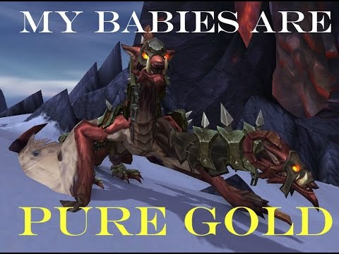 Warlords of Draenor 6.0.3 - Rylak Egg Gold Making Guide (6500 gold/10 minutes) - THE TRIPOD
