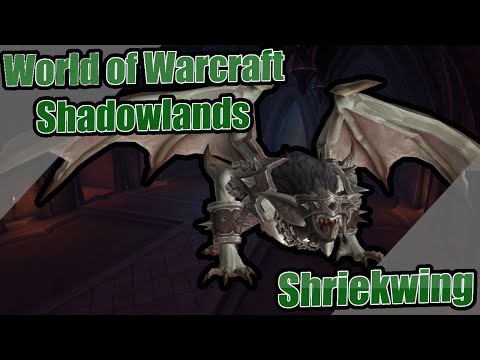 Heroic Shriekwing (4k 60fps) - Castle Nathria (9.0.5) - No Commentary