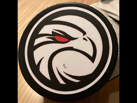 ESC Hassfurt HAWKS vs. EV Dingolfing - Aufstiegsrunde 21/22 - Endstand 4:0