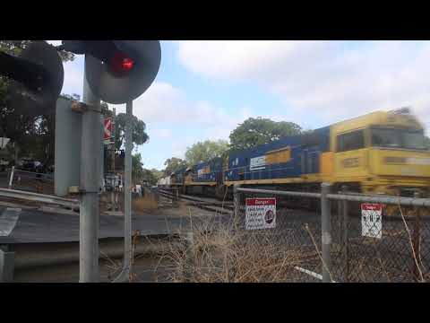 Pacific National 2MP5 passes Barratts Road, Lynton 1/21/20