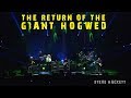 Steve Hackett - The Return of The Giant Hogweed (Live at The Royal Albert Hall)