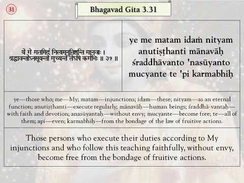 Srimad Bhagavad Gita Verses, BG 3.31