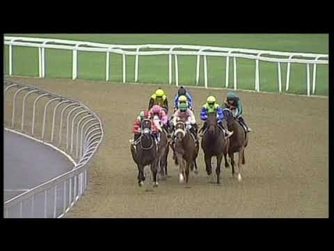 20190127 Greyville express clip Race 6 won by DI MAZZIO