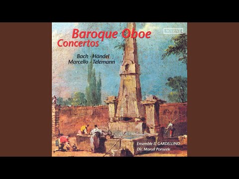 Oboe Concerto in D Minor, S. Z799: I. Andante e spiccato