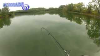 Fox rage terminator shad jigging