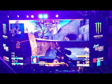 Another slice of polish crowd PGL major krakow 2017