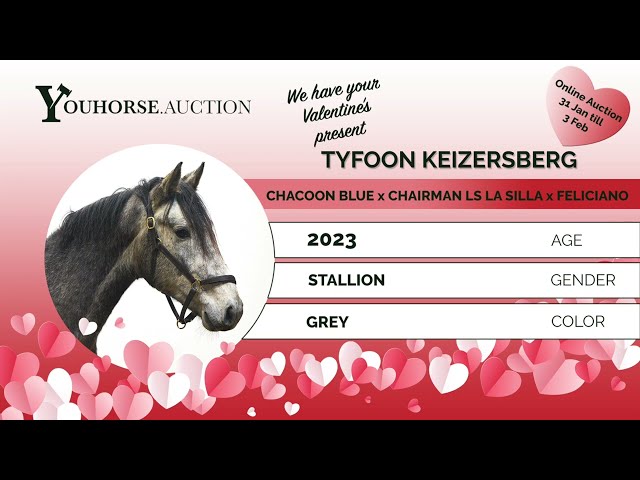 Tyfoon Keizersberg