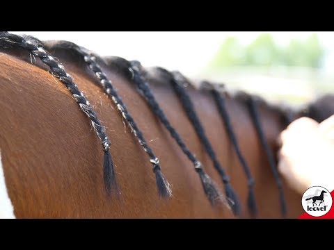 leovet 5 csillag Flecht-Grip (vékony sörény esetében)