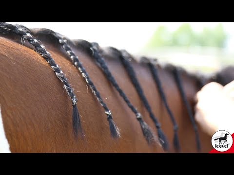 5-star braided grip from leovet - for thin manes (Audio in German)