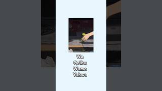 Download lagu Ali hojeij - wa qolbu wama yahwa (terjemahan indonesia) muslim ways mp3