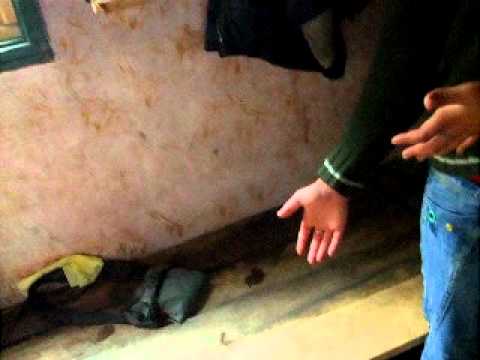 Pensiunea 3 Fantani - Cazare Runcu | Aventura Video 12