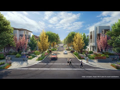Builder Videos 2 Out of 6