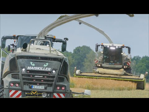 GPS häckseln aufgetunter CLAAS JAGUAR 980 Black Beauty mit MAN-V12-Motor & Zusatz Beleuchtung