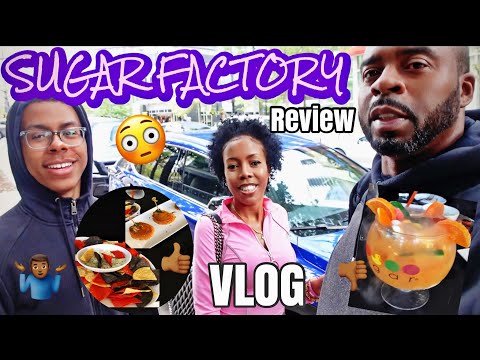 VLOG | REVISÃO DA FÁBRICA DE AÇÚCAR