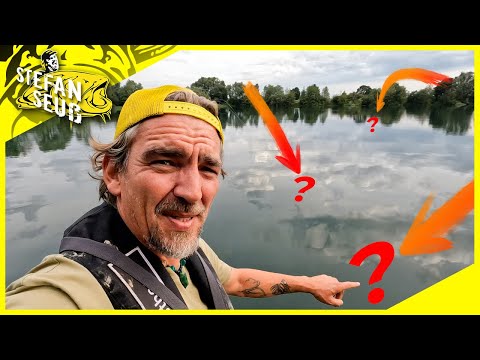 The fishing club is asking me for help! Is there a dangerous catfish living in the lake?