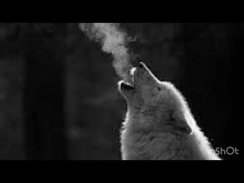 Vnas Kar 2pac -All az on me