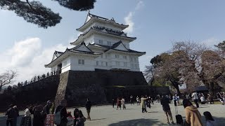 2025_03_30小田原市　さわやかウォーキング[おいでよ 春風薫る小田原の桜散策とかまぼこ祭り].wmv