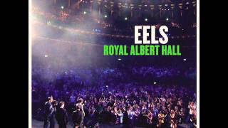 Eels - Last Stop This Town (Live at Royal Albert Hall)