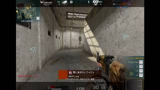 AVA canon 4kill  Lion