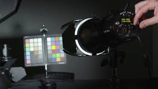 Hive Wasp 100c- פנס RGB ייחודי.
