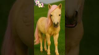 My Little Pony in Real Life?! (Horse &amp; Human Forms)