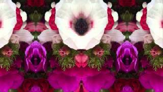 Don&#39;t Wait (by Buddy Miller live at Slim&#39;s 2005)