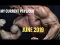 What a Natural Pro Bodybuilder Looks Like | Physique Update 2019