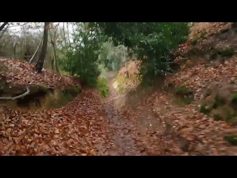 The North Downs Way   Part 1, Farnham to Guildford