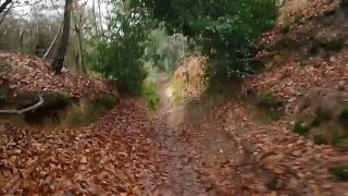 The North Downs Way   Part 1, Farnham to Guildford