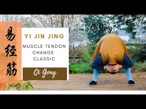 Shaolin Yi Jin Jing – Full 12 Exercises | Muscle-Tendon Transformation