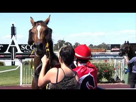 Ascot, 28/11/15, Race 3 - KENTUCKY LASS - Neville Parnham & Chris Parnham