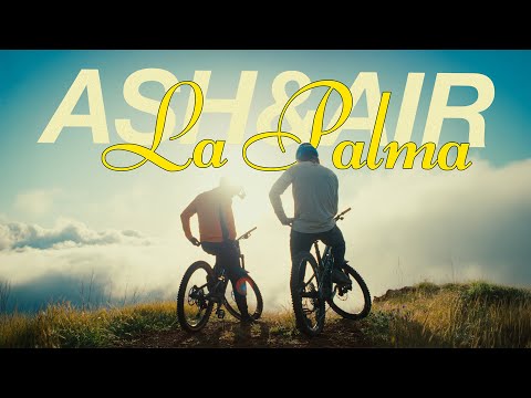 BACKYARD99 and 3 more