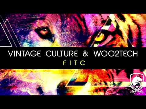 Vintage Culture & WOO2TECH - FITC (Original Mix)