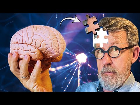 Memory Lapses: How Can You Find Lost Information?