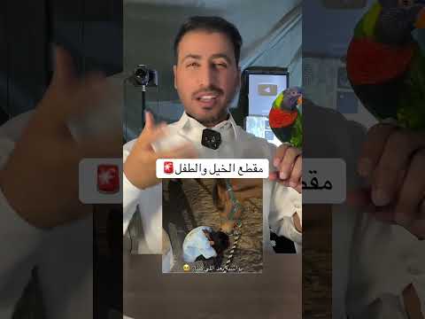 خيل يواسي طفل🚨