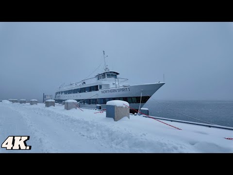Harbourfront Centre & Downtown Toronto During a Blizzard Snow Storm 4K