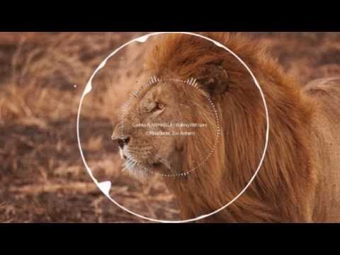 Codeko ft  RAPHAELLA - Walking With Lions (Official Electric Zoo Anthem)
