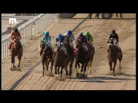 ΣΤΑΡ ΣΑΪΝ - MUZI YENI  12 Μαρτίου 2017 Νο 75