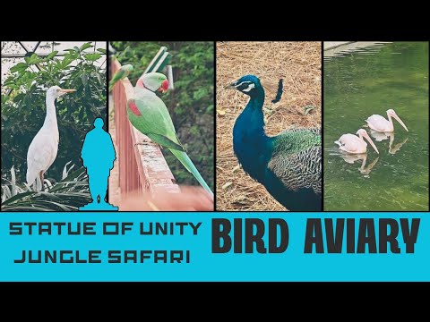 Statue of Unity Jungle Safari PART 1 | Inside the Exotic Bird Aviary 🦜 | Gujarat Tourism 