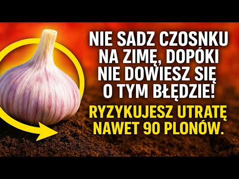 Nie sadź czosnku na zimę, dopóki nie dowiesz się o TYM błędzie! ❌ Ryzykujesz utratę nawet 90% plonó