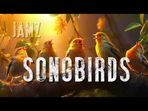 Songbirds