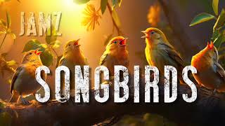Songbirds