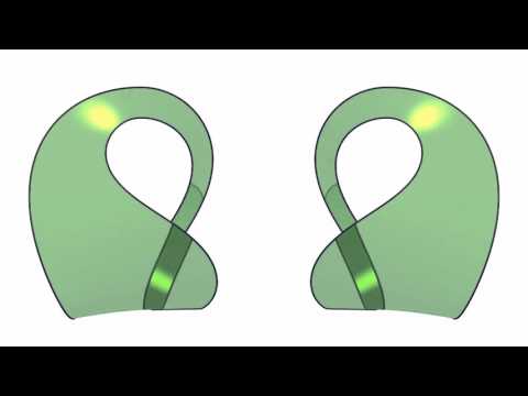 Two Moebius bands make a Klein bottle