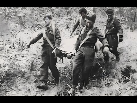 The Glosters at Imjin: The Battle that Shaped a War