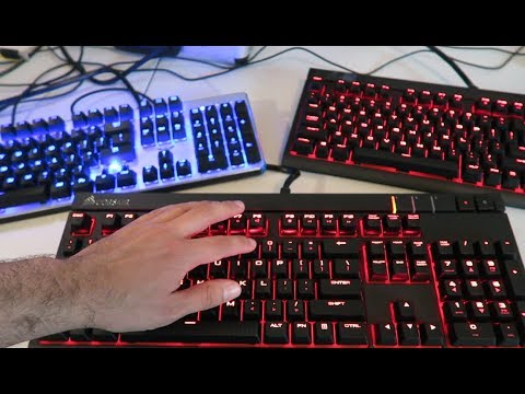 Blue Switches VS Red Switches VS Brown Switches | Mechanical Keyboard Comparison