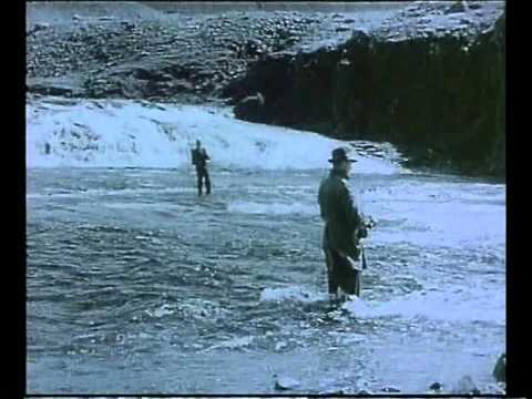 Muškaření - Island 1938