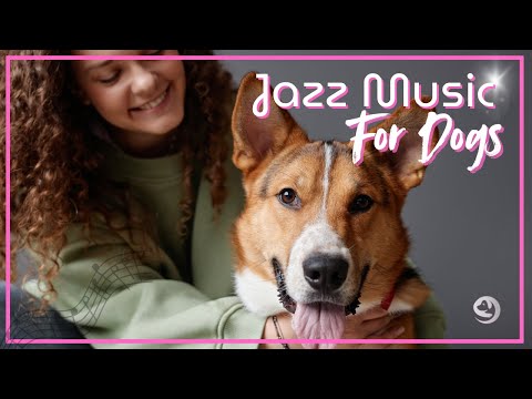 Jazz Music for Dogs - Gentle Relaxing Jazz for Dogs - Anxiety Calming
